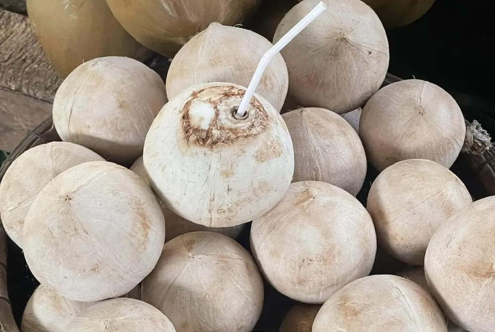 Uống nước dừa có thể thúc đẩy nỗ lực giảm cân như thế nào.jpg