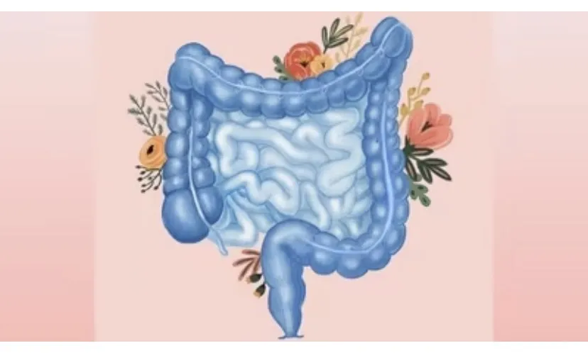 Tăng cường sức khỏe đường ruột của bạn bằng những thực phẩm thay thế đơn giản như ngũ cốc, yến mạch hoặc hạt diêm mạch, thịt gà, cá hoặc các loại thực vật. Ảnh: Behance. 6 loại thực phẩm thay thế lành mạnh để hỗ trợ sức khỏe đường ruột.jpg