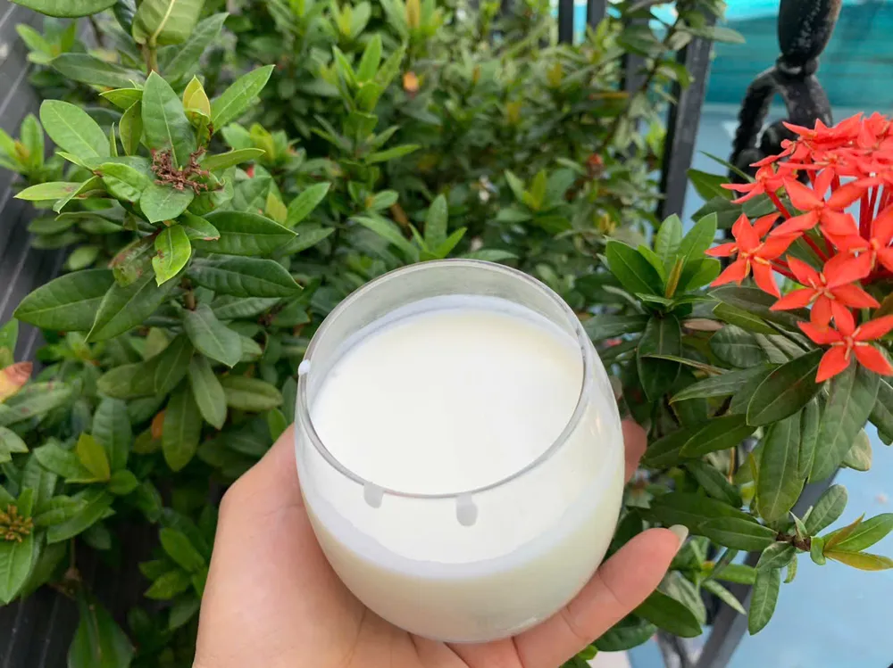 Ăn các chế phẩm sinh học như sữa chua, thực phẩm lên men có thể giúp thúc đẩy sức khỏe đường ruột, từ đó hỗ trợ kiểm soát bệnh tuyến giáp.Ảnh: PHƯƠNG LÊ. Thực hiện mẹo ăn uống này để kiểm soát bệnh tuyến giáp.jpg