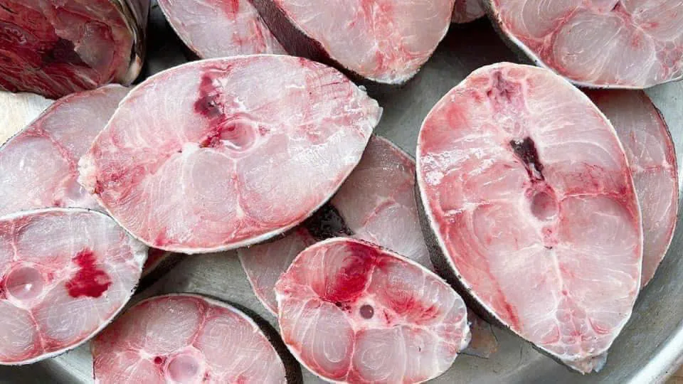 Ăn cá thu có thể hỗ trợ sức khỏe tim mạch, não, thúc đẩy tuổi thọ và hỗ trợ kiểm soát cân nặng. Ảnh: PHƯƠNG LÊ. Lợi ích sức khỏe của việc ăn cá thu.jpg