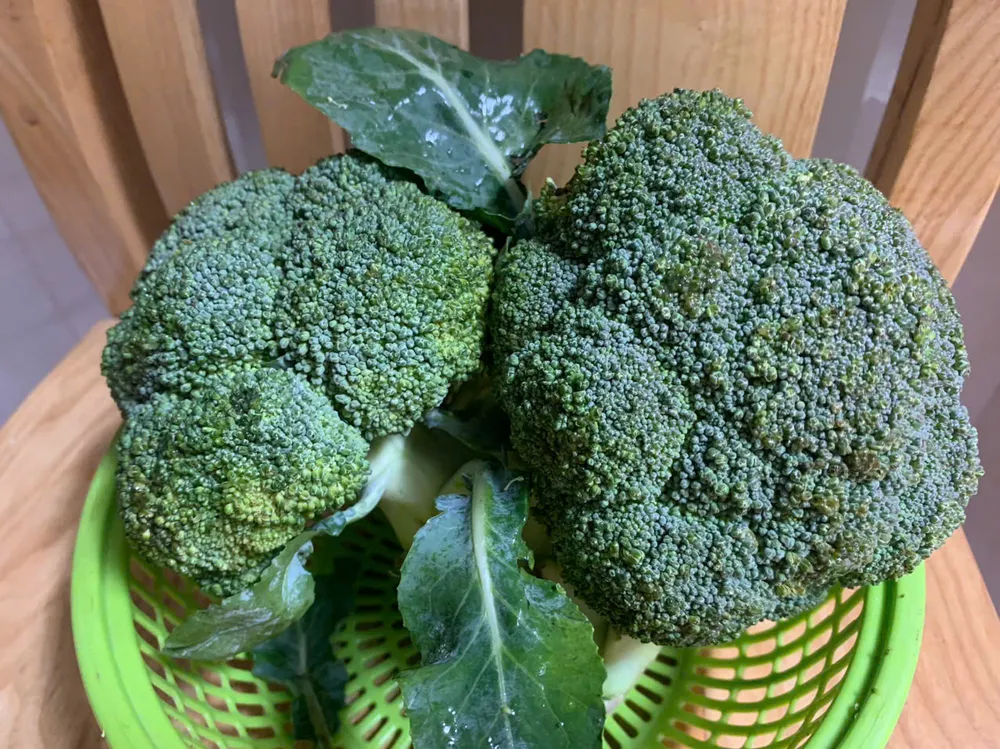 Ăn loại rau này có thể ngăn ngừa cục máu đông và đột quỵ.jpg