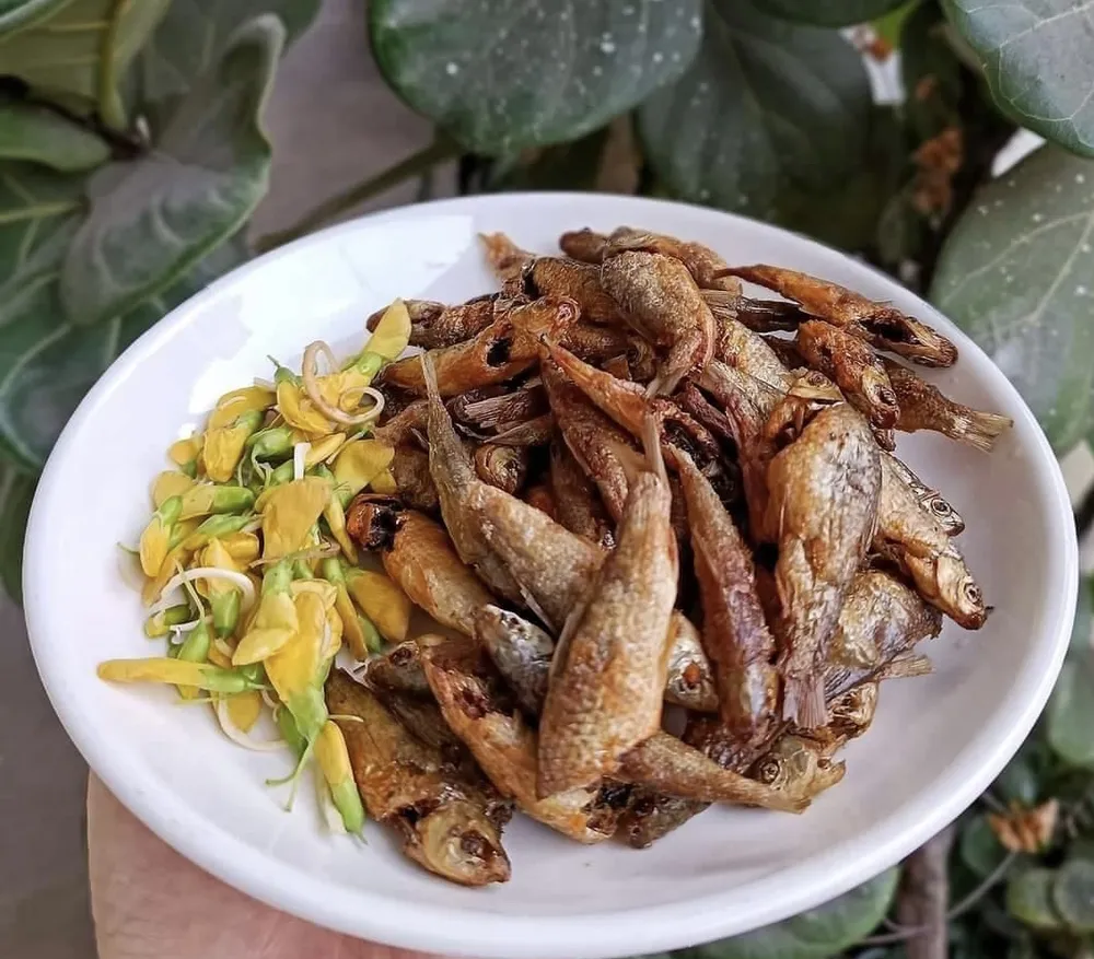 Một nghiên cứu cho thấy ăn cá thường xuyên có tác dụng hỗ trợ sức khỏe nhận thức và giảm nguy cơ mắc các bệnh thoái hóa thần kinh. Ảnh: PHƯƠNG LÊ. Ăn cá thường xuyên có thể bảo vệ chống lại chứng mất trí nhớ, bệnh Alzheimer.jpg