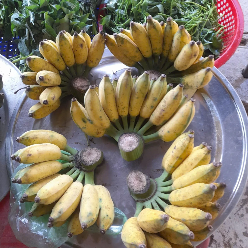 9 loại thực phẩm và đồ uống có thể giúp kiểm soát các triệu chứng đau nửa đầu.jpg