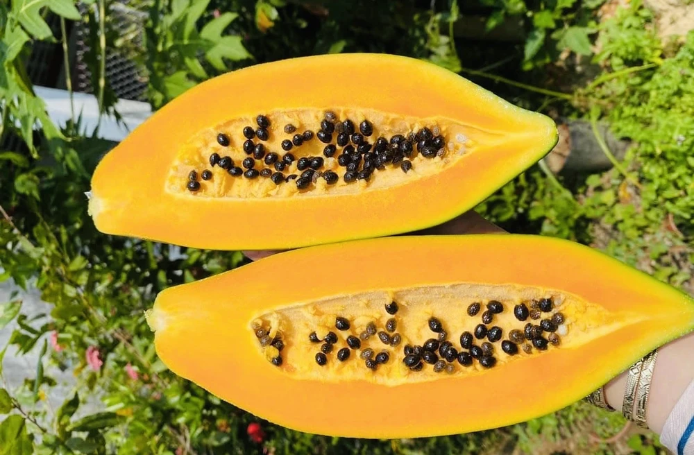 Điều gì xảy ra với cơ thể bạn khi bạn ăn đu đủ thường xuyên.jpg