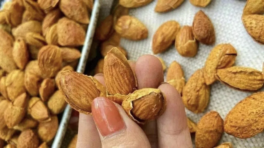 5 thực phẩm nên ăn khi bụng đói giảm cân nhanh hơn.jpg