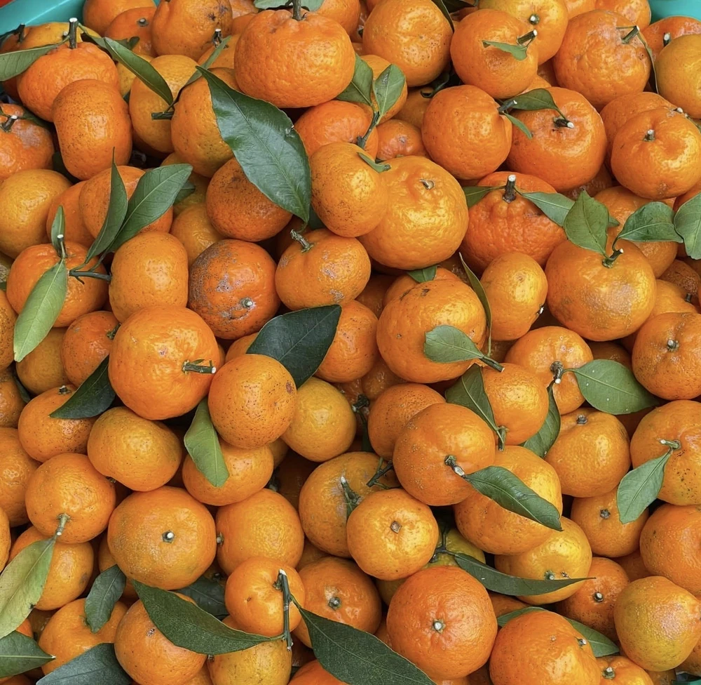 Tăng cường miễn dịch cho trẻ khi thời tiết thay đổi: 4 chất dinh dưỡng quan trọng.jpg