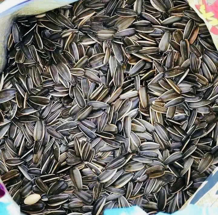 6 loại hạt tăng cường sức khoẻ phổi: Bảo vệ lá phổi tự nhiên.jpg