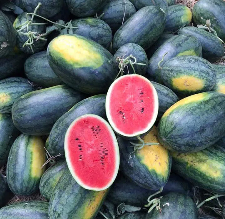 Ăn dưa hấu giảm cân: Lợi ích, tác hại và cách ăn hiệu quả.jpg