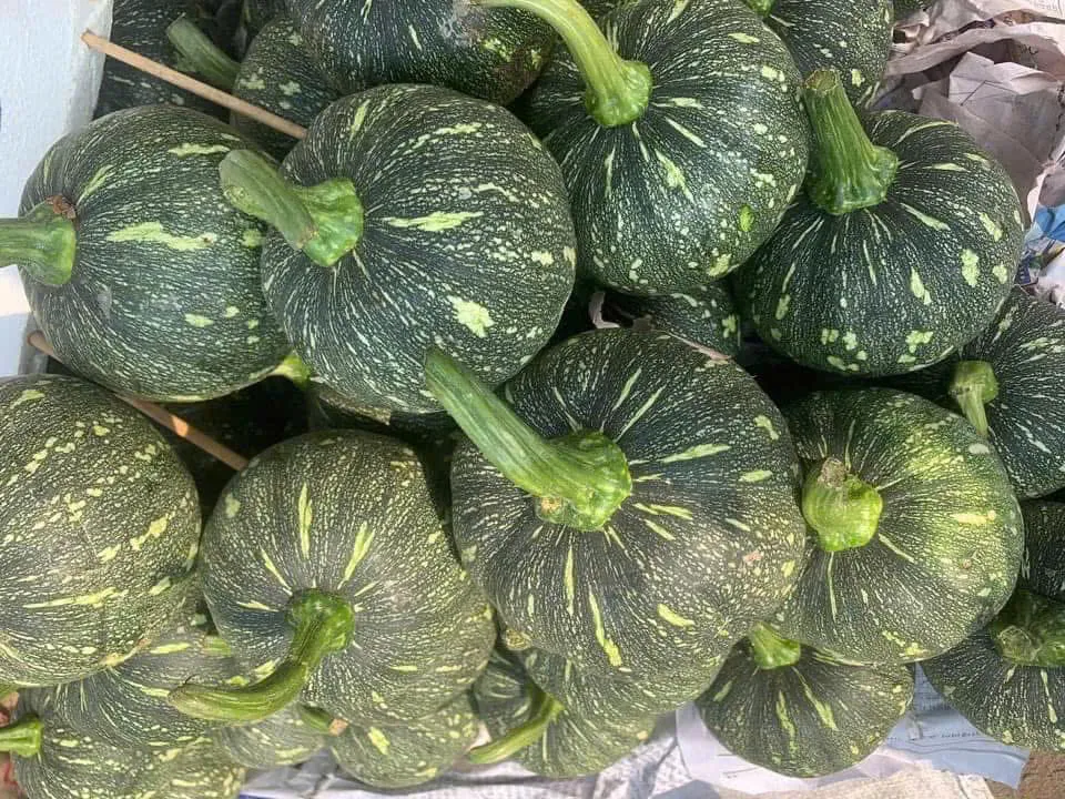 7 thực phẩm 'vàng' cung cấp đủ nước, khỏe khoắn ngày hè.jpg