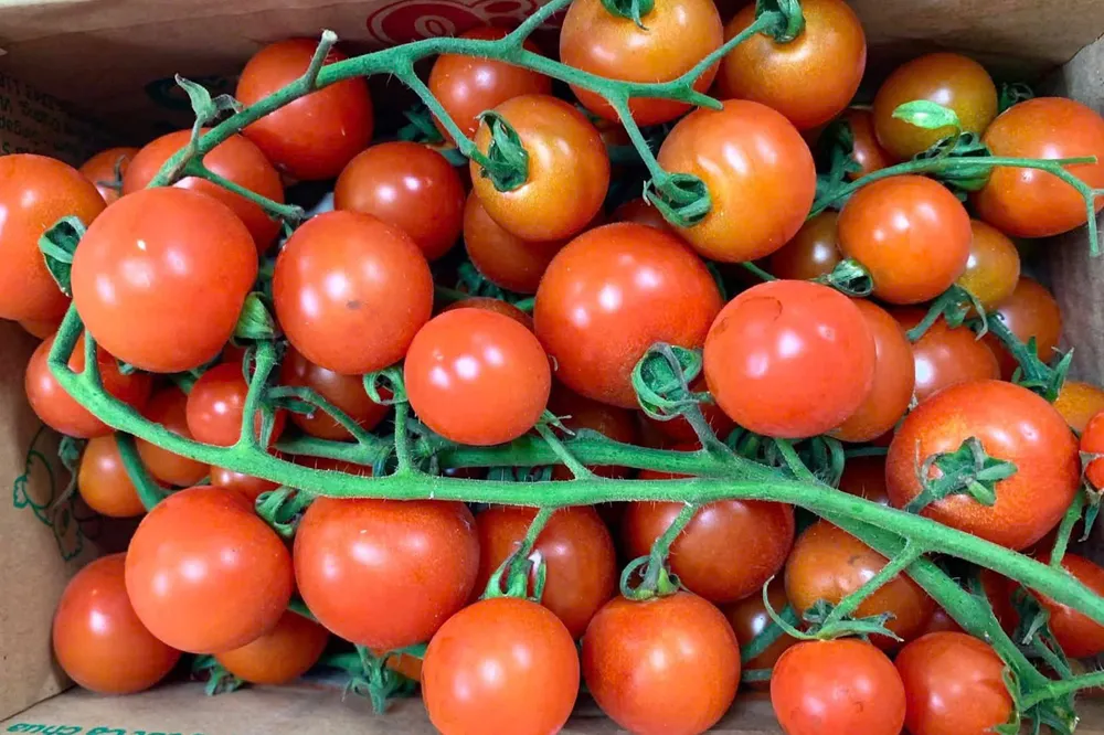 7 loại trái cây và rau củ mùa hè tốt cho sức khỏe tim mạch.jpg