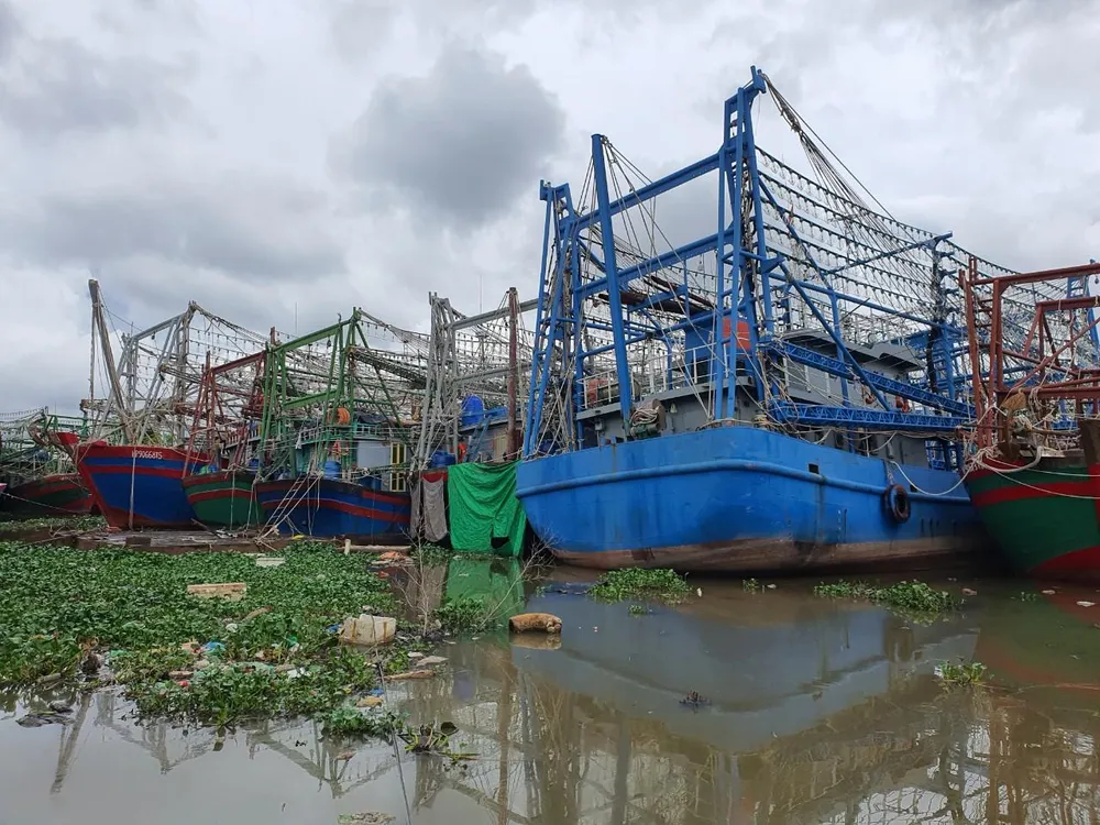Các địa phương ven biển TP Hải Phòng kêu gọi tàu thuyền tránh trú, chủ động ứng phó bão số 3. Ảnh LÊ ĐỒNG
