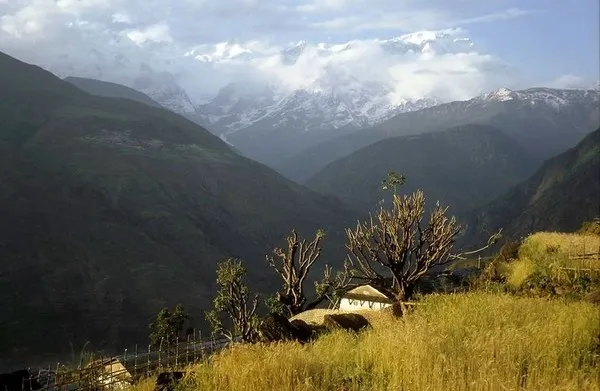 Cách lấy mật ong nguy hiểm nhất thế giới ảnh 2