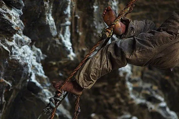 Cách lấy mật ong nguy hiểm nhất thế giới ảnh 9