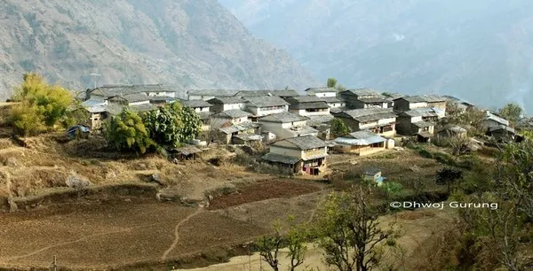 Cách lấy mật ong nguy hiểm nhất thế giới ảnh 1