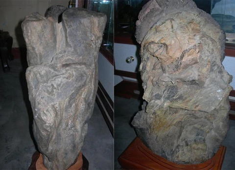 Kỳ lạ: nhặt được gốc cây "mục" tiền tỷ ảnh 5