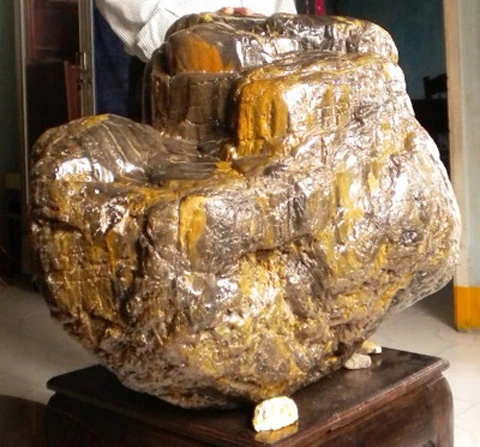 Kỳ lạ: nhặt được gốc cây "mục" tiền tỷ ảnh 6