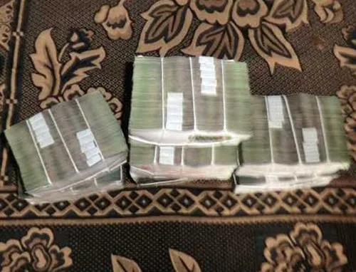 Tiền mặt hàng tỷ đồng được đại gia mang tới mua cây