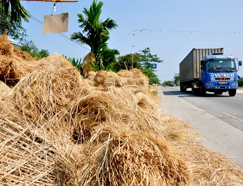Nông dân chất chồng rơm rạven quốc lộ 1A nối dài từ xã Đức Lân, huyện Mộ Đức đến xã Phổ Văn, huyện Đức Phổchờ bán.Ảnh:Trí Tín. 18-4-Anh-1-Ban-rom-ra.jpg