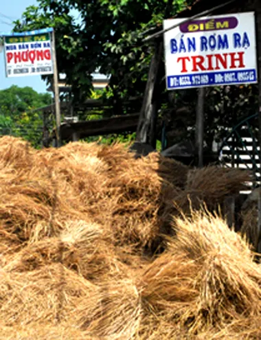 Nhiều hộ gia đình in cả biển hiệu kèm theo số điện thoại treo bên quốc lộ 1Agiới thiệu chào bán sản phẩm rơm rạ.Ảnh:Trí Tín. 18-4-Anh-3-Ban-rom-ra.jpg