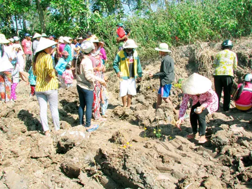 Hàng ngàn người đổ xô đến xem mặt ruộng 'đột nhiên nhô cao lên 1,8 m ảnh 1 Người dân ùn ùn đổ xô xem mặt ruộng đột nhiên nổi cao 1