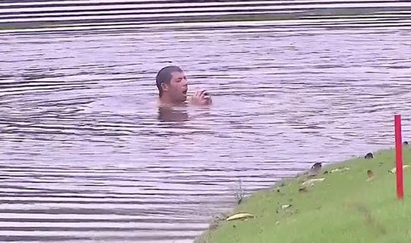 Vận động viên golf “phát điên” khi bị ong khổng lồ tấn công ảnh 3