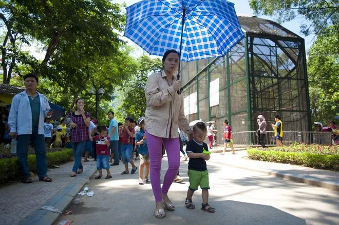 Công viên, rạp xiếc đông nghịt người bất chấp nắng nóng ảnh 10