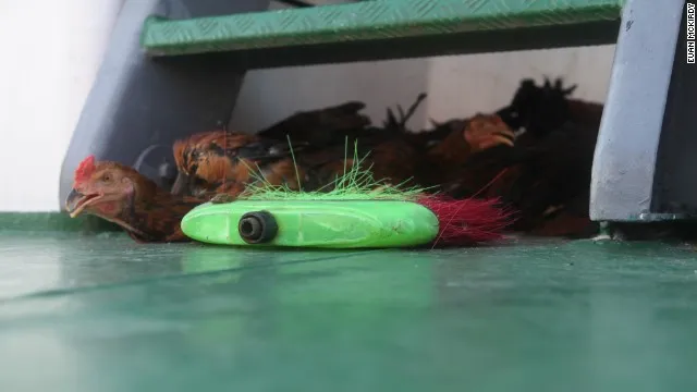 Sự kiên cường của Cảnh sát biển Việt Nam qua loạt ảnh CNN ảnh 11