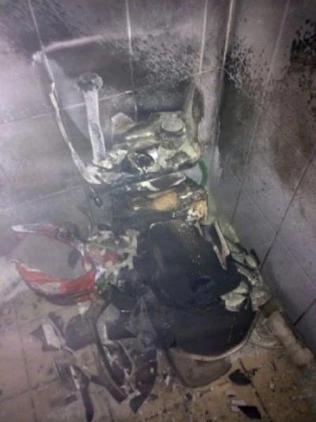 'Thủ tiêu' con gián, người phụ nữ 'thổi bay' cả toilet 2