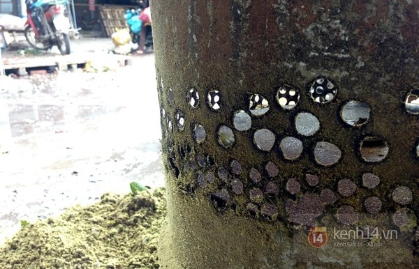 Chà vỏ sấu, kiếm bạc triệu mỗi ngày ảnh 2