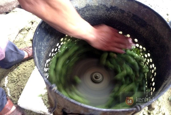 Chà vỏ sấu, kiếm bạc triệu mỗi ngày ảnh 5