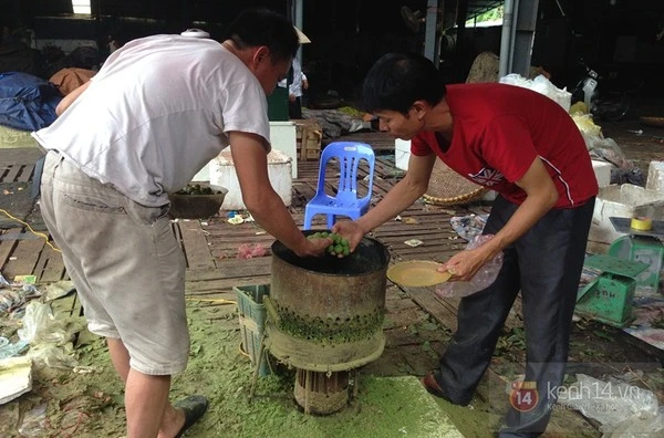 Chà vỏ sấu, kiếm bạc triệu mỗi ngày ảnh 7