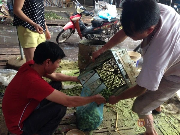 Chà vỏ sấu, kiếm bạc triệu mỗi ngày ảnh 8