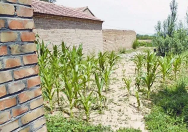 11 học sinh Trung Quốc đánh chết bạn vì buồn chán ảnh 2 11 học sinh Trung Quốc đánh chết bạn vì buồn chán ảnh 2