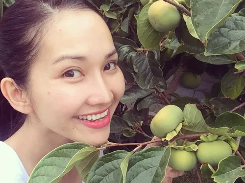 Kim Hiền bên cây hồng sai quả trong vườn nhà chồng.