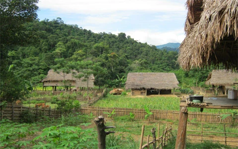 Khai quật, bào thai, đồi bại , anh em ruột