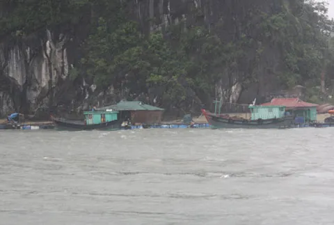 bão; Vân Đồn; Quảng Ninh
