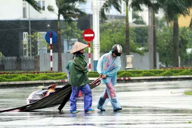 Công nhân công ty môi trường đô thị TP.Móng Cái đang khắc phục hậu quả bão.