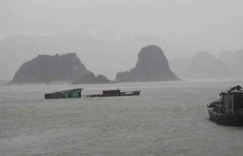 bão; Vân Đồn; Quảng Ninh