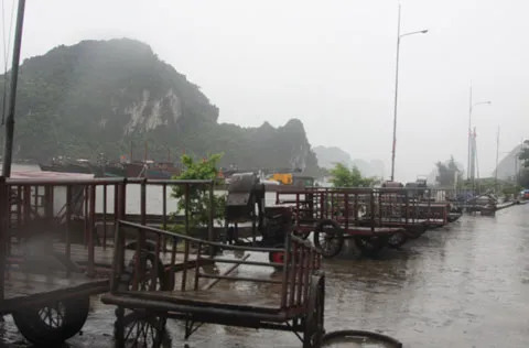 bão; Vân Đồn; Quảng Ninh