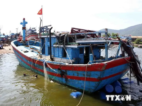 Kịp thời cứu 14 ngư dân trên tàu cá bị bốc cháy gần Côn Đảo ảnh 1