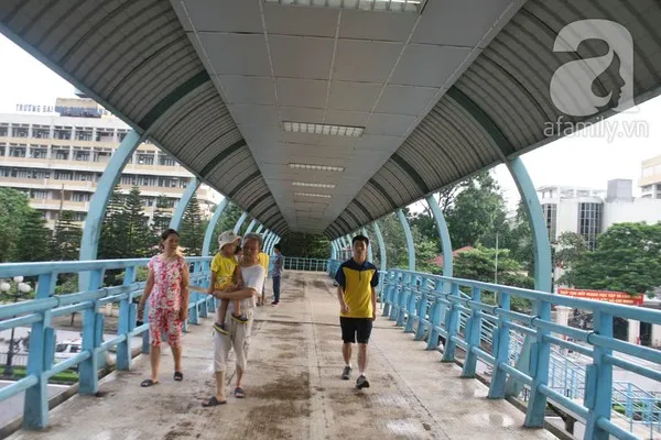 Người Hà Nội tiếc nuối hàng chục cây cổ thụ sắp bị chặt bỏ 16