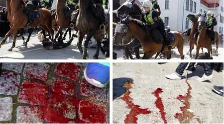 Thụy Điển, cảnh sát, kỵ binh, giày xéo, ngựa, người biểu tình, chủ nghĩa phát xít