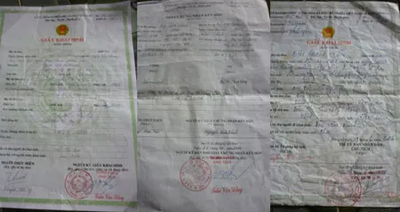 Một số giấy tờ liên quan.