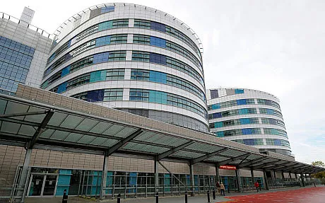 Ghép thành công gan của người chết cho người sống ảnh 2 - 1