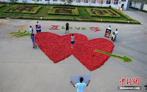 Chàng trai mang... 99.999 quả ớt đi cầu hôn bạn gái ảnh 4