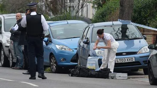 Anh: Cụ bà 82 tuổi bị chặt đầu ngay tại London ảnh 3