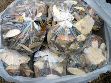 4 người nguy kịch vì dùng thuốc thầy lang