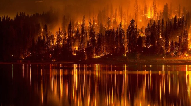 Thảm kịch khi trái đất nóng lên ảnh 3