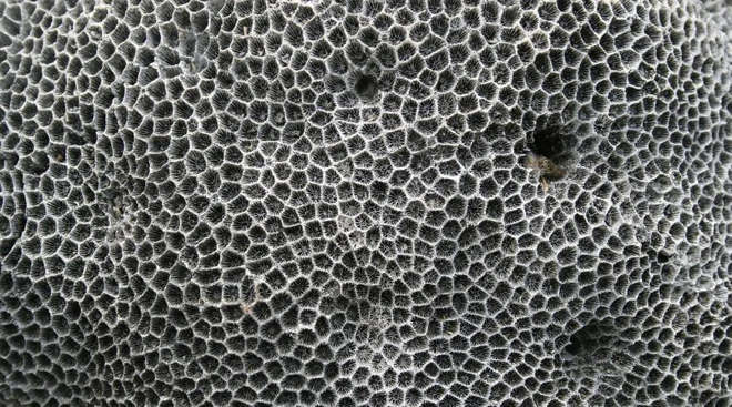 Thảm kịch khi trái đất nóng lên ảnh 7