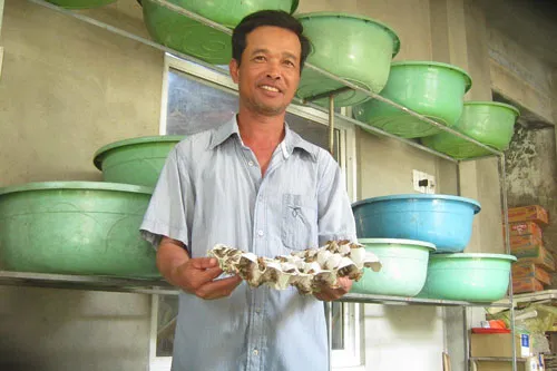 Anh Nguyễn Văn Hưng bên khay dế vàng đã được vài tuần tuổi